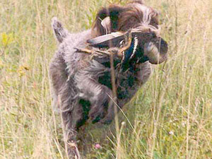 Slideshow Image 3